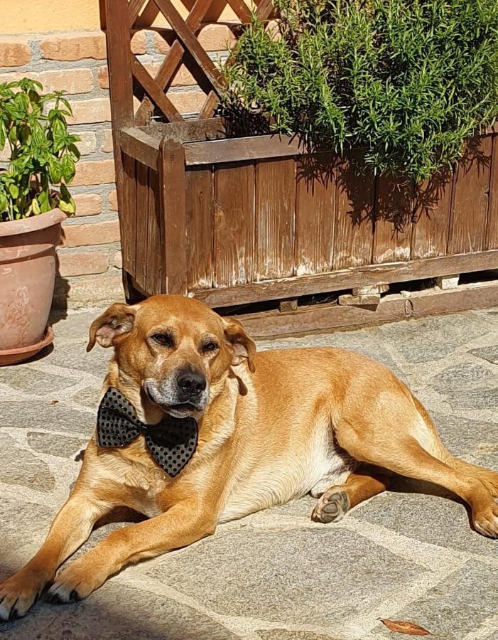 Lalunanera Cortazzone Buitenkant foto